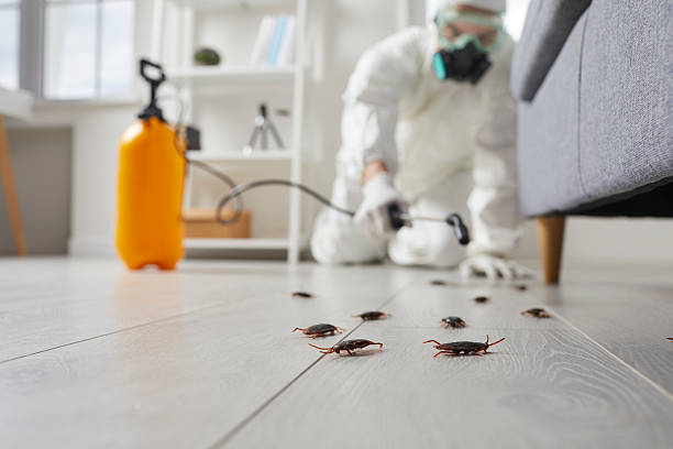 Post-Treatment Bed Bug Interceptor Monitoring in Mechanicstown