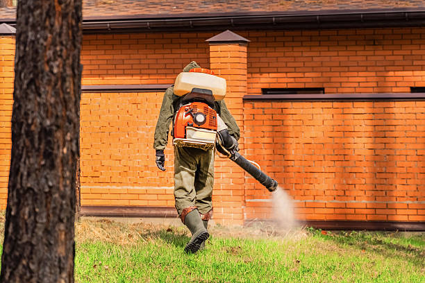 Bed Bug Clearance Verification and Documentation in Mechanicstown